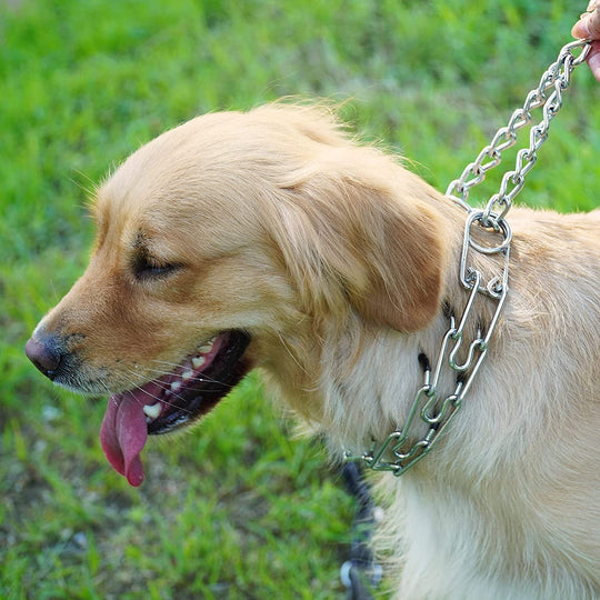 Herm Sprenger Training Dog Prong Collar