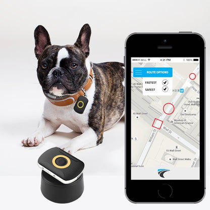 Pet GPS Tracker - Cat or Dog GPS Tracking Device with Free Monthly Fees