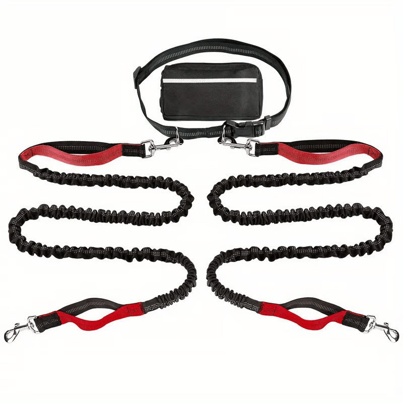Hands-Free Dog Leash with Shock Absorbers and Storage Pouch