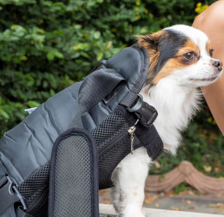 Doglory™ - Sustainable Pet Carrier