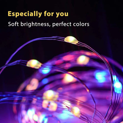 Multicolor Led Animated Outdoor Lightshow