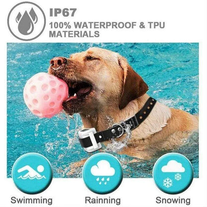 Waterproof Wireless Electric Dog Fence Collar