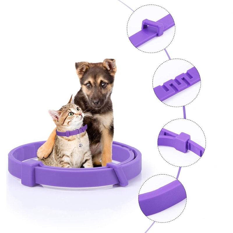 Pheromone calming collar for dogs and cats