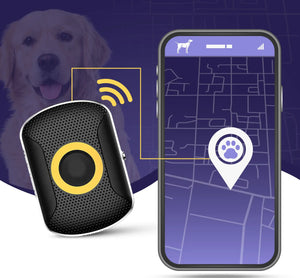 Pet GPS Tracker - Cat or Dog GPS Tracking Device with Free Monthly Fees