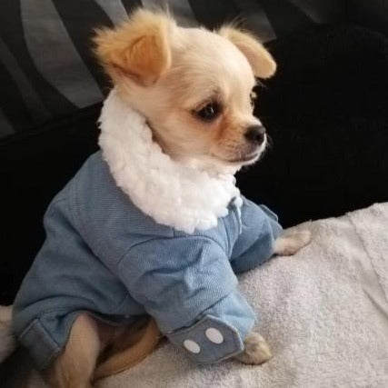 Winter Fleece Denim Dog Jacket