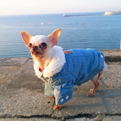 Winter Fleece Denim Dog Jacket