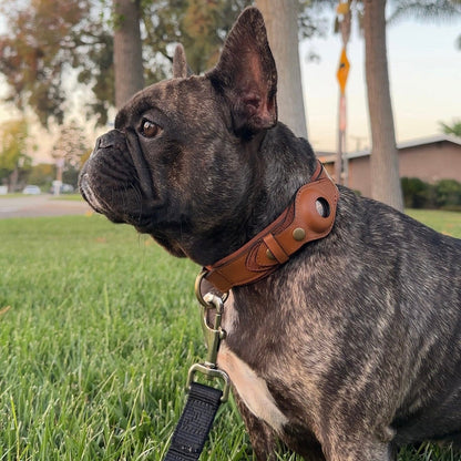 Premium Leather Airtag Dog Collar