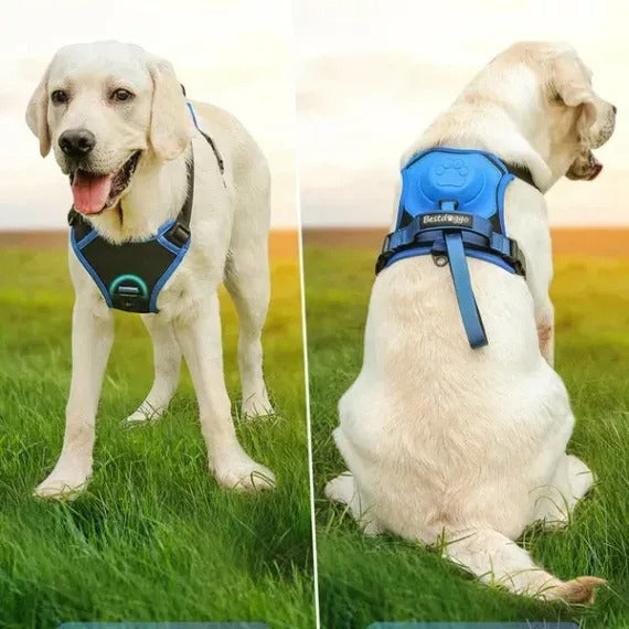 Dog Harness And Retractable Leash Set All-In-One