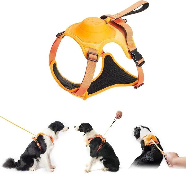 Dog Harness And Retractable Leash Set All-In-One