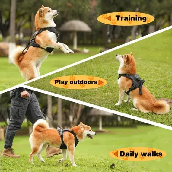 Dog Harness And Retractable Leash Set All-In-One