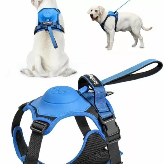 Dog Harness And Retractable Leash Set All-In-One