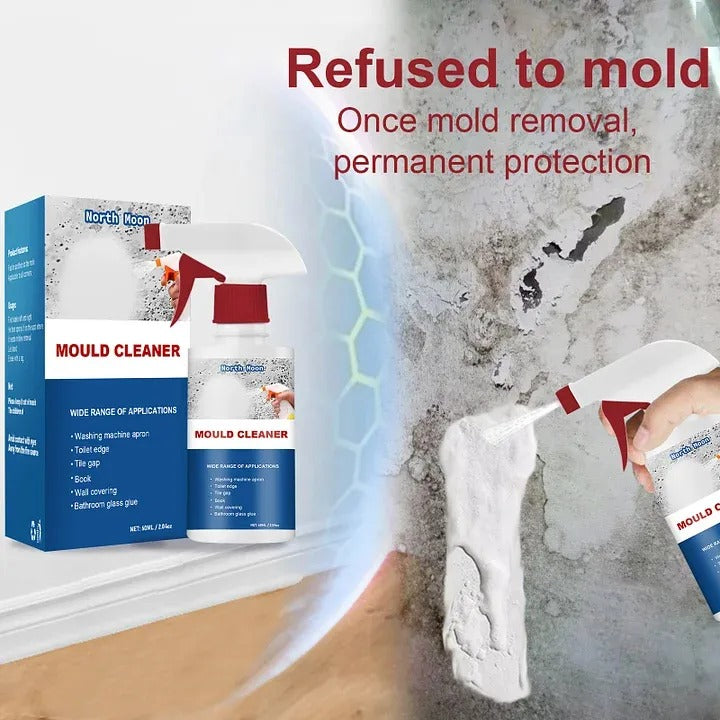 Mildew Cleaner Foam