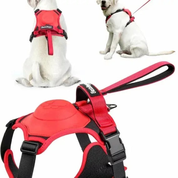 Dog Harness And Retractable Leash Set All-In-One