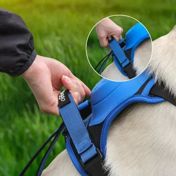 Dog Harness And Retractable Leash Set All-In-One