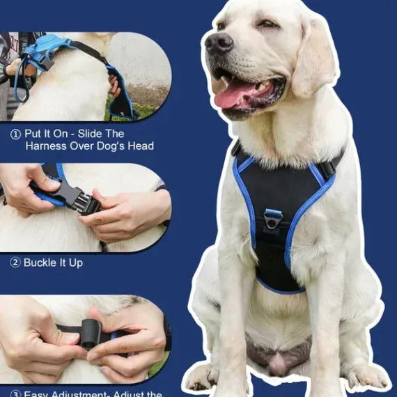 Dog Harness And Retractable Leash Set All-In-One