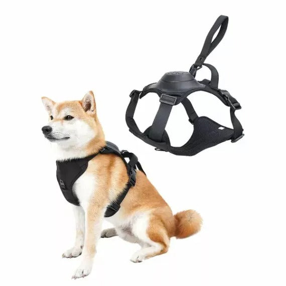 Dog Harness And Retractable Leash Set All-In-One