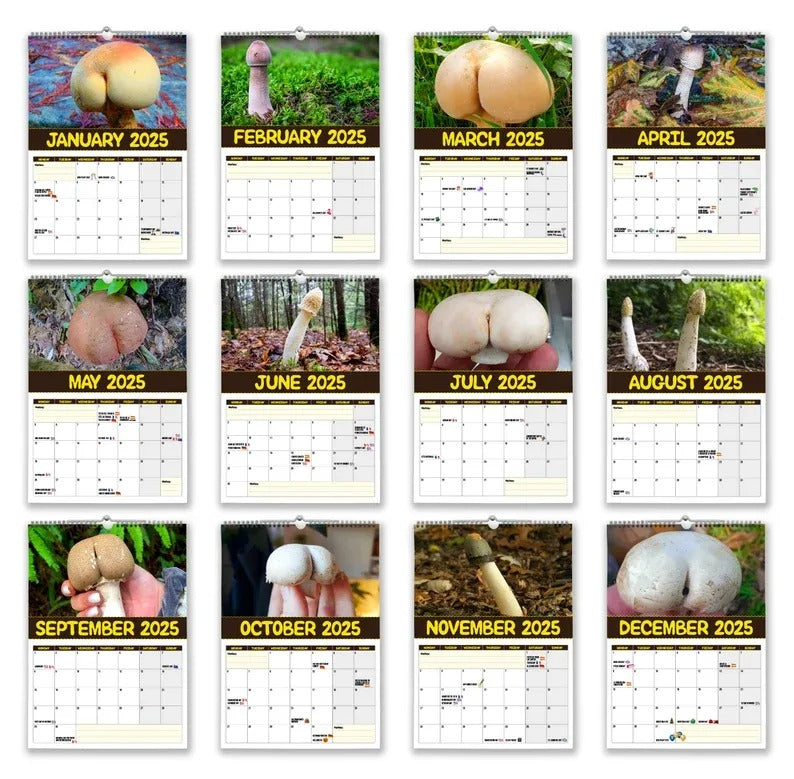 World's Greatest Mushrooms - 2025 Wall Calendar