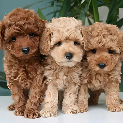 Cuddle Cushion Lifelike Plush Puppy Toy