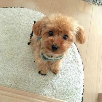Cuddle Cushion Lifelike Plush Puppy Toy