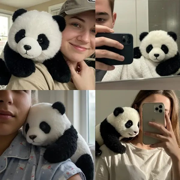 The Paudy — Emotional Healing On Demand, Panda toy