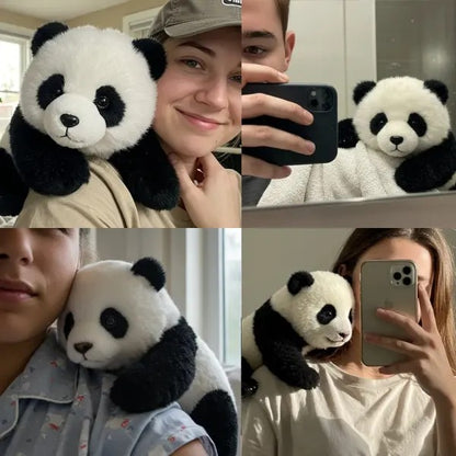 The Paudy — Emotional Healing On Demand, Panda toy