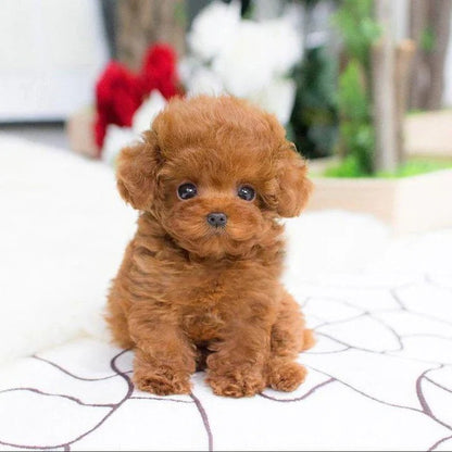 Cuddle Cushion Lifelike Plush Puppy Toy