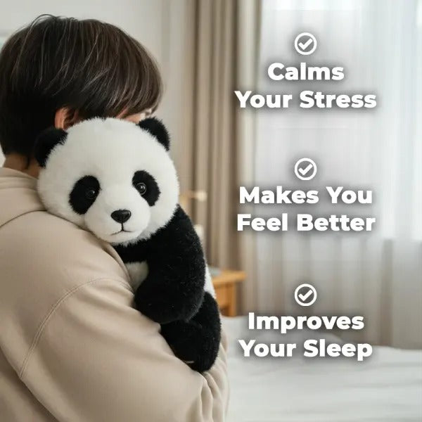 The Paudy — Emotional Healing On Demand, Panda toy