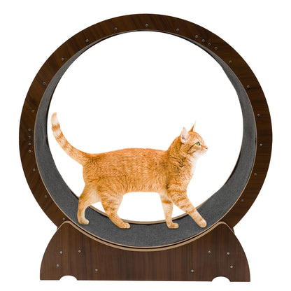 Cat Exercise Treadmill