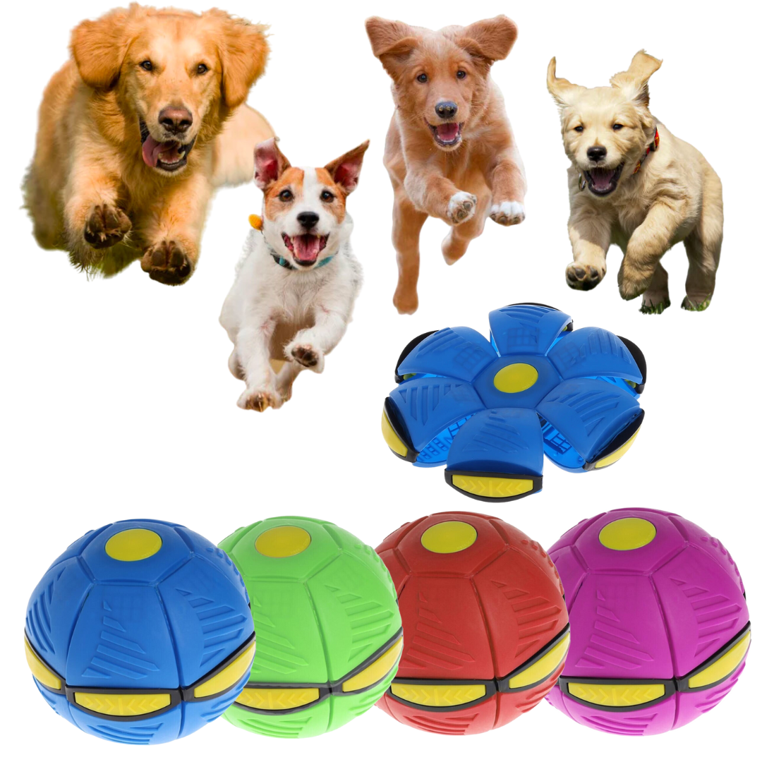 Flying Saucer Ball Dog Toy