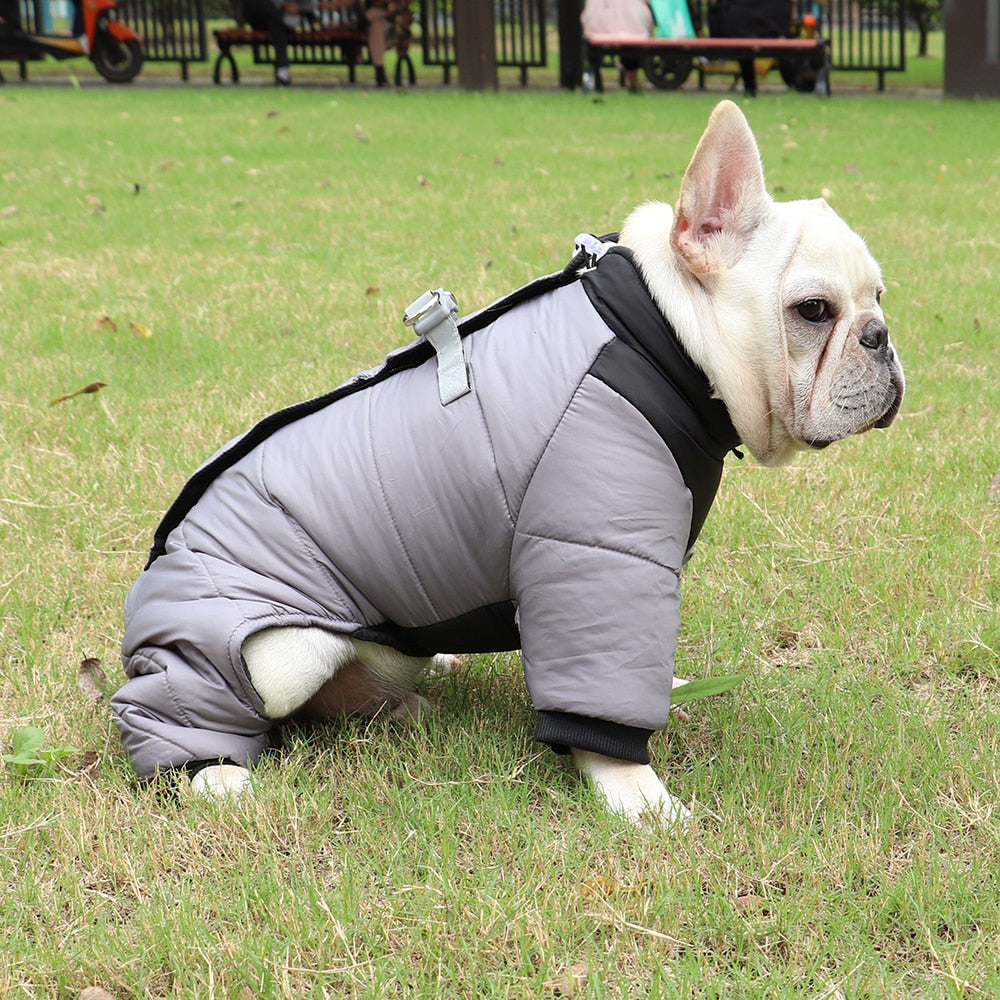 Winter Thickened Warm Dog Cat Jacket