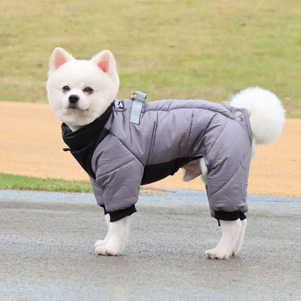 Winter Thickened Warm Dog Cat Jacket