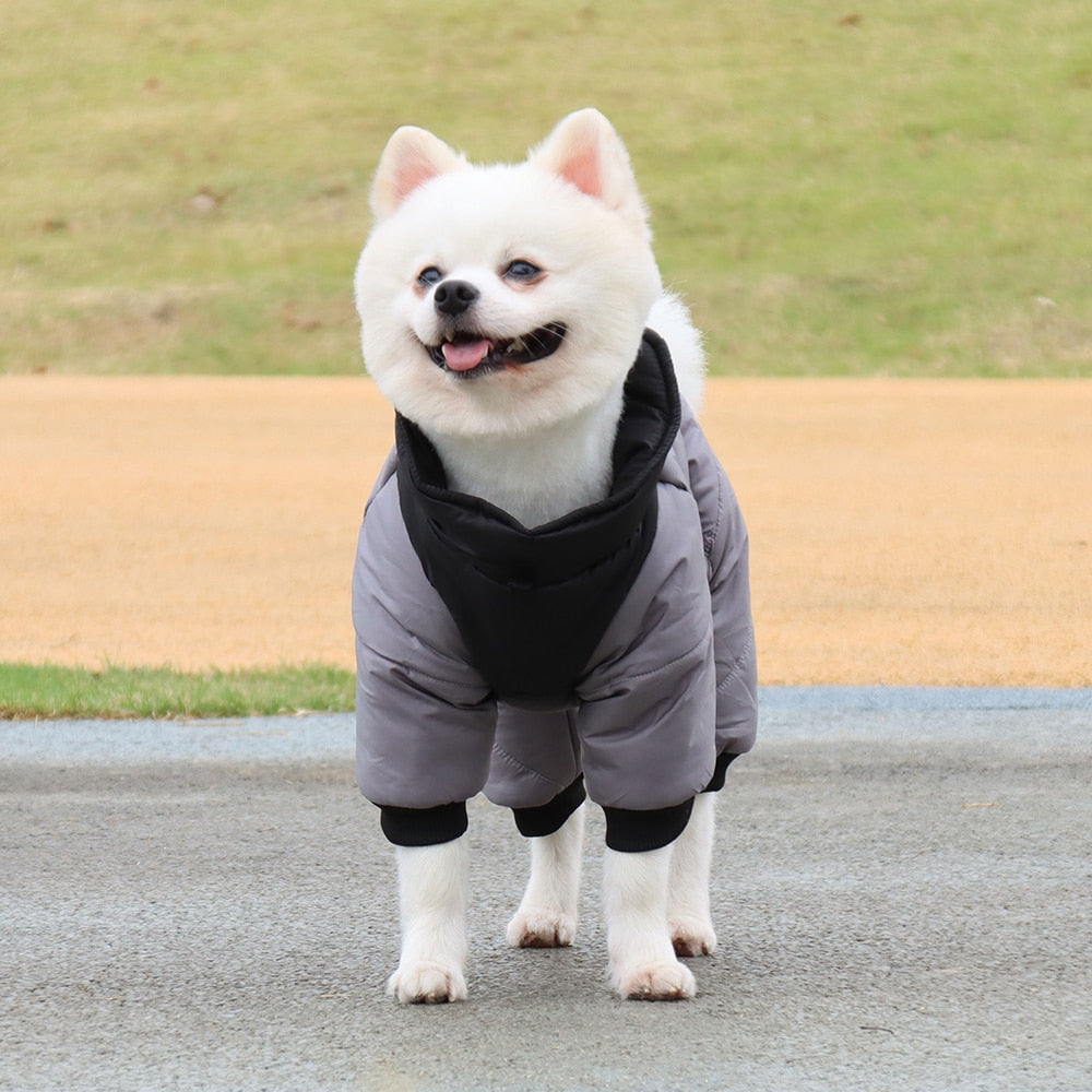 Winter Thickened Warm Dog Cat Jacket