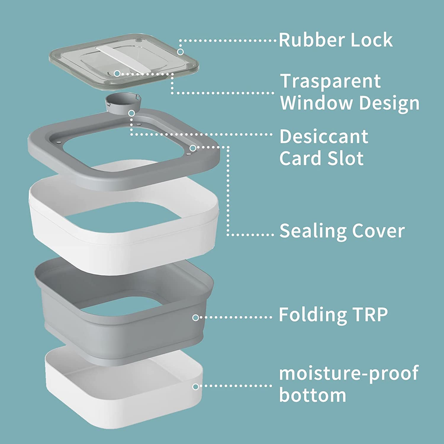 Portable Large Dog Food Storage Container with Sealing Lock, Scoop, And Transparent Lid