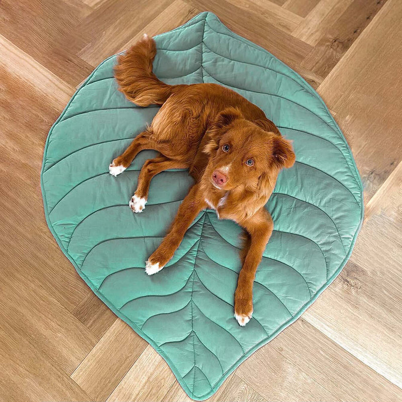 Leaf Shape Dog Blanket