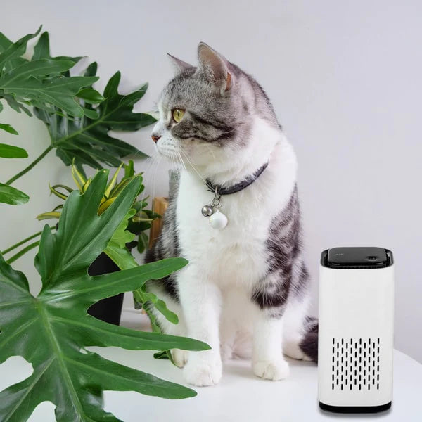 Pet Air Purifier