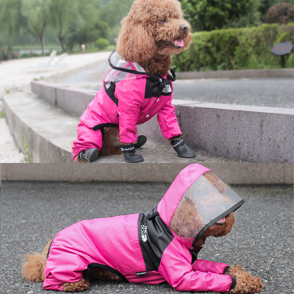 The Dog Face Raincoat