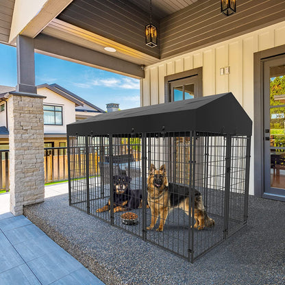 Premium Outdoor Heavy Duty Extra Large Dog Kennel