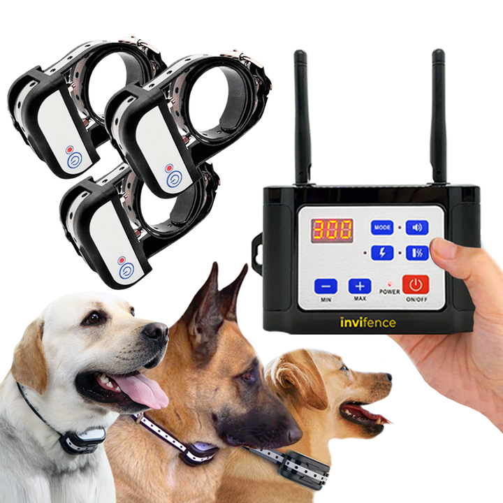 Pet Dog Wireless Fence Training Collar 2 Function in 1 Outdoor