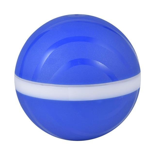 Interactive dog toys Wicked Ball Waterproof Playing Ball For Pets