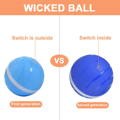 Interactive dog toys Wicked Ball Waterproof Playing Ball For Pets