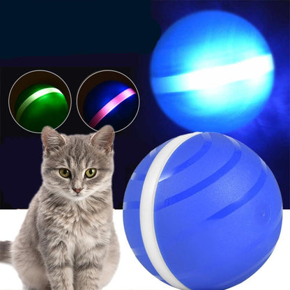 Interactive dog toys Wicked Ball Waterproof Playing Ball For Pets